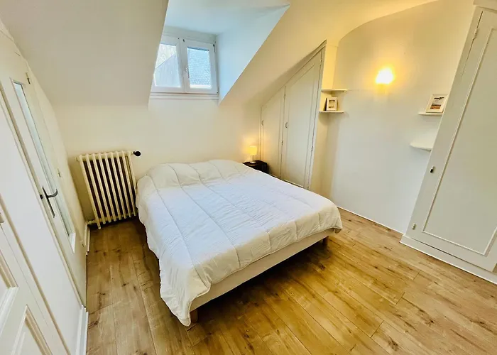 La Maison Du Dr Héron * Tours